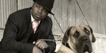 DOG NeLeGal 